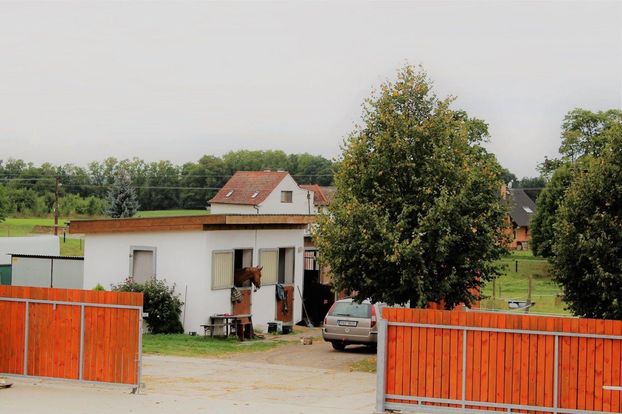 Farma Ptýrov Mnichovo Hradiste Exterior foto